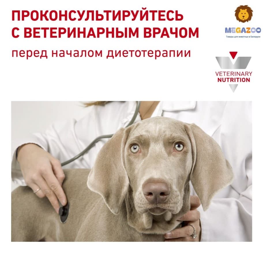 Еда для собак Сухой корм для собак Royal Canin Early Renal Dog