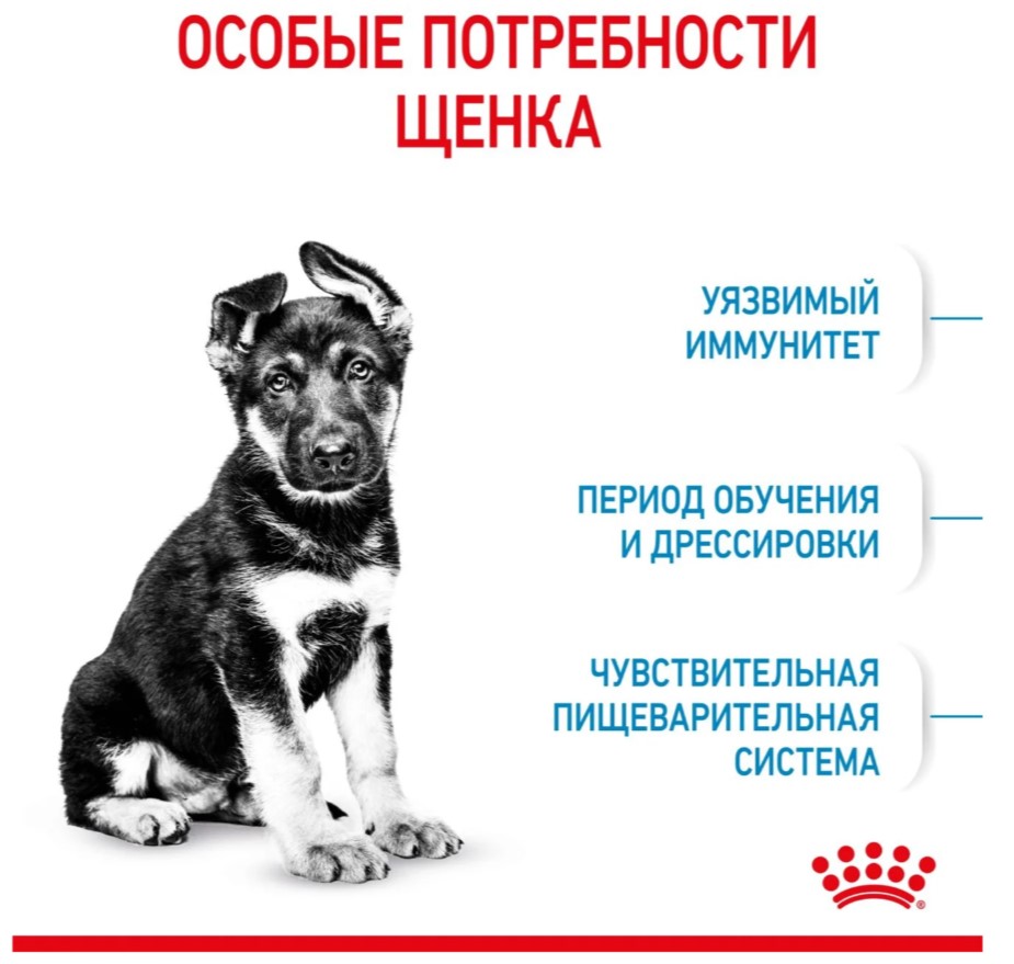 Еда для собак Сухой корм для щенков Royal Canin Maxi Puppy