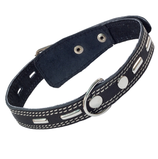 Ошейник кожаный двойной c украшением Gamma 25х580 мм