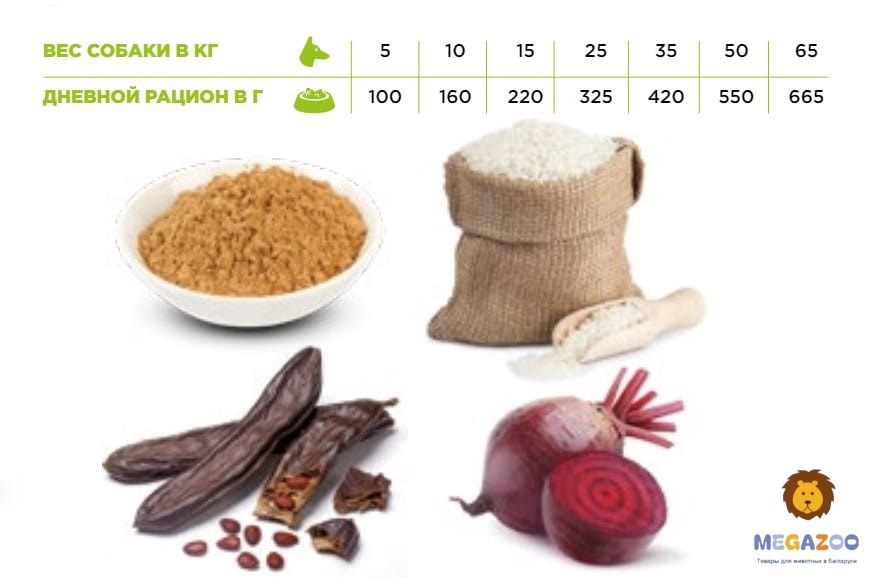 Каталог Сухой корм для собак Necon Delicious Adult (свинина, рис) для собак