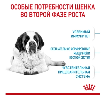 Питание для щенков Сухой корм для щенков Royal Canin Giant Junior