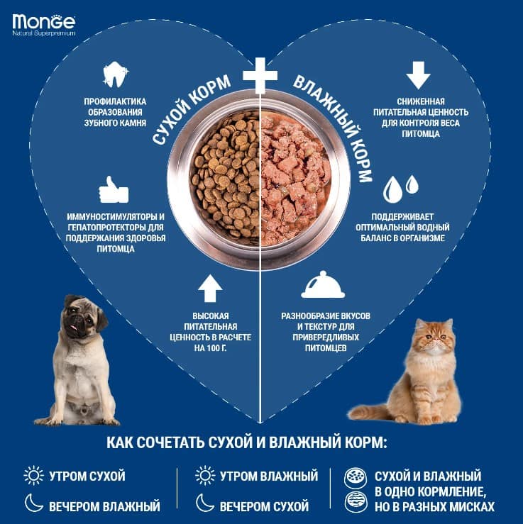 Корм для кошек Monge Cat Monoprotein (мясные хлопья из индейки с морковью)