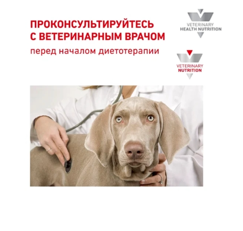 Ветеринарный корм для собак Сухой корм для собак Royal Canin Hepatic Dog