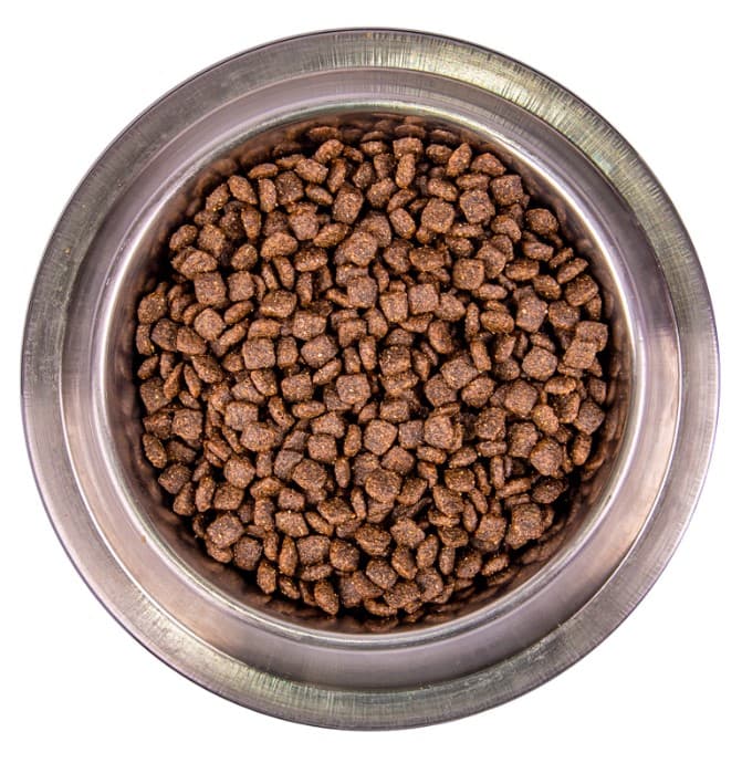 Каталог Сухой корм для собак Monge Dog Monoprotein Adult Mini (лосось, рис) для собак