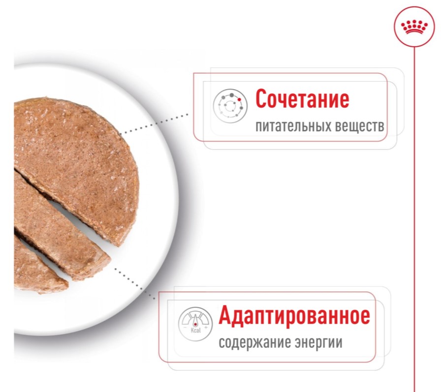 Паштет для собак Royal Canin Mini Ageing