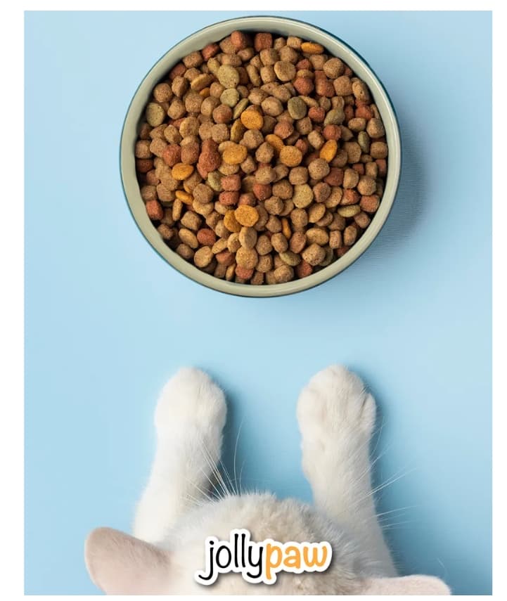 Миска для кошек и собак JOLLYPAW 0.3 л