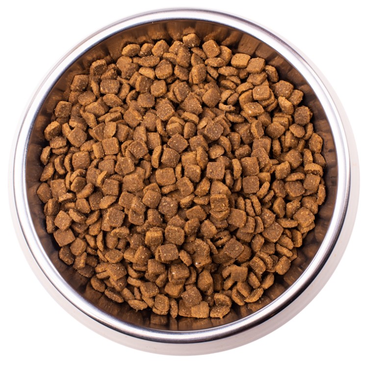 Лечебный рацион для кошек Monge VetSolution Dermatosis Cat