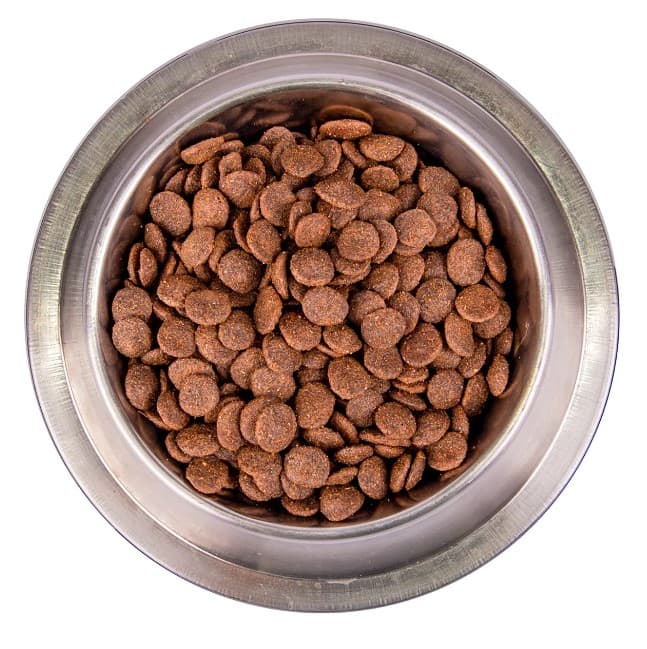 Каталог Сухой корм для собак Monge Dog BWild LG Adult All Breeds (гусь) для собак