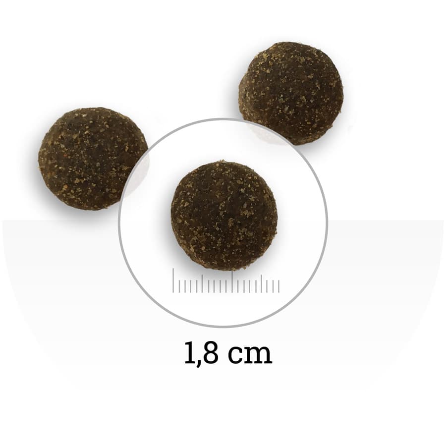 Еда для собак с избыточным весом Natura Wild DOG North Country (курица, утка, индейка)