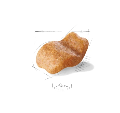 Еда для собак Сухой корм для собак Royal Canin Bulldog Adult