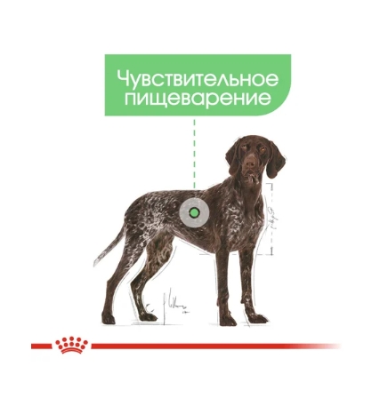 Консервированный корм для собак Royal Canin Digestive Care (паштет)