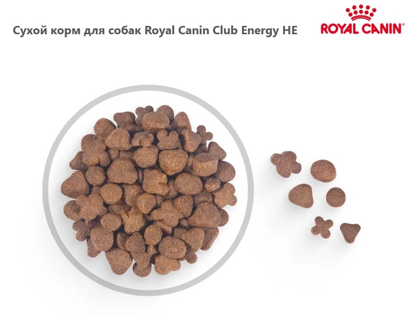 Еда для собак Сухой корм для собак Royal Canin Club Energy HE