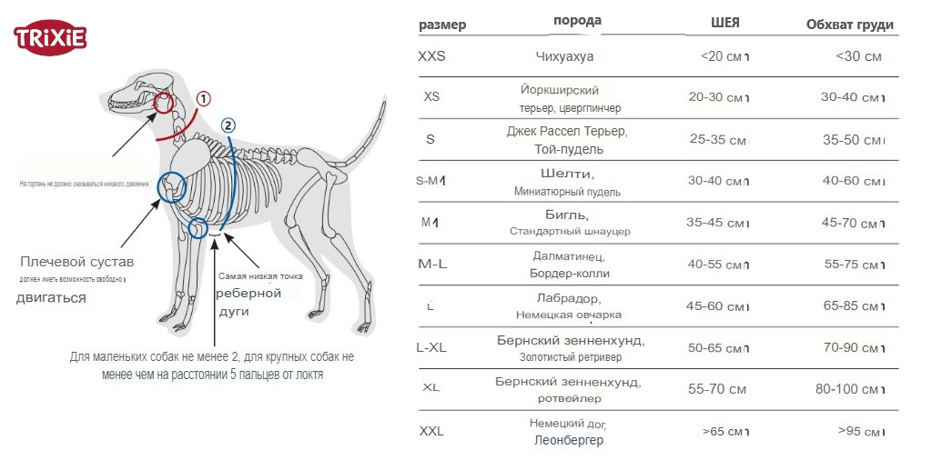 Шлея для собак TRIXIE Premium H-harness (аквамарин)