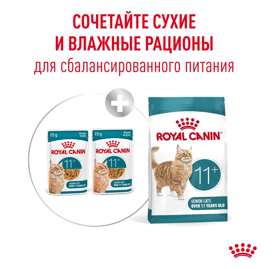 Влажный корм для пожилых кошек Royal Canin Ageing 11+ (кусочки в желе)