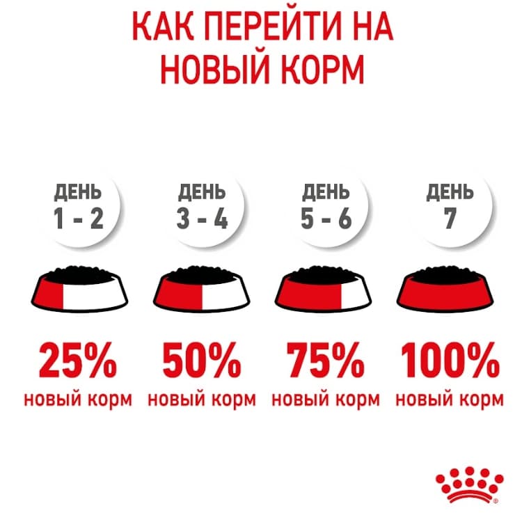 Влажная еда для котят Royal Canin Kitten Sterilized (в желе)