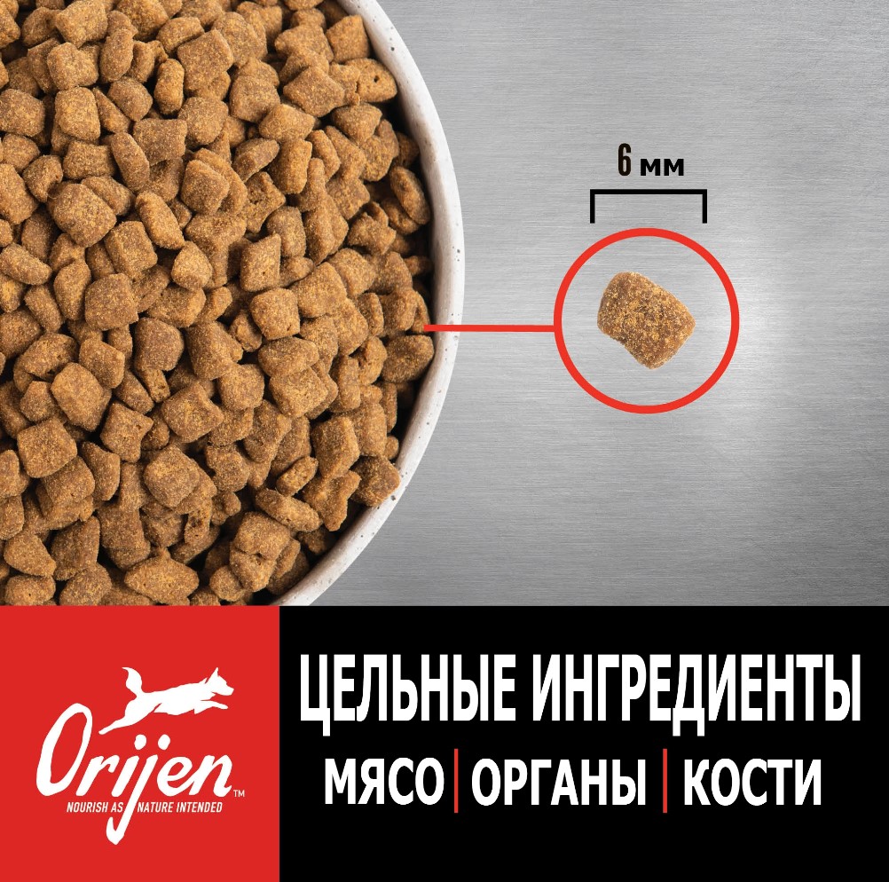 Каталог Сухой корм для щенков ORIJEN PUPPY SMALL BREED DOG для собак
