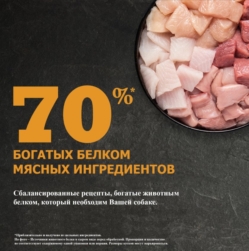 Еда для собак Сухой корм для собак ACANA WILD PRAIRIE Dog (курица)