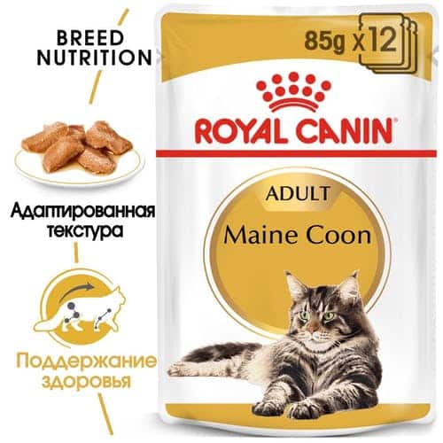 Консервированный корм для кошек Royal Canin Maine Coon Adult в соусе
