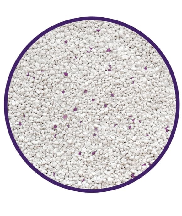 Наполнитель бентонитовый белый CAT STEP Compact White Lavеnder 10 л