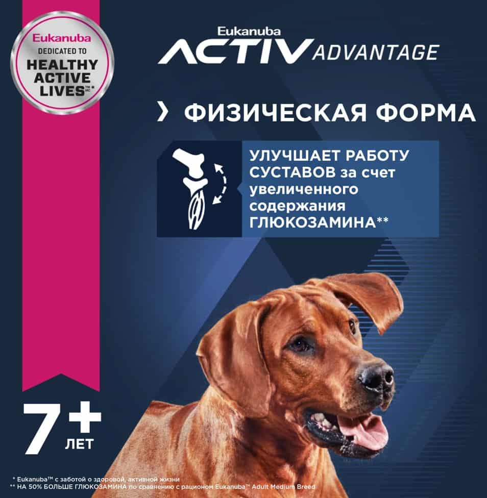 Питание для старых собак Сухой корм для собак Eukanuba Senior 7+ Large (птица)