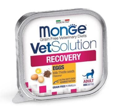 Лечебное питание для кошек Monge VetSolution Recovery Cat