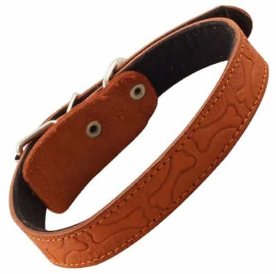 Ошейник для собак кожаный на синтепоне с тиснением Gamma