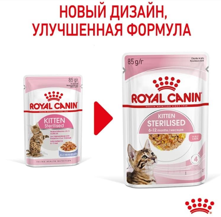 Влажная еда для котят Royal Canin Kitten Sterilized (в желе)