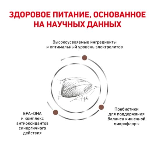 Сухой корм для кошек Royal Canin GastroIntestinal GI32 полнорационный корм для поддержания здорового пищеварения у кота 