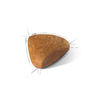 Сухой корм для кошек Royal Canin Sphynx Adult полнорационный сухой корм для сфинксов