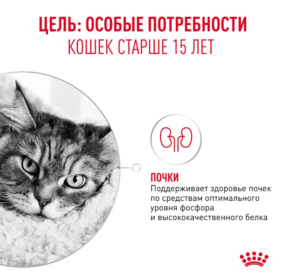 Влажный корм для очень пожилых кошек Royal Canin Ageing 15+