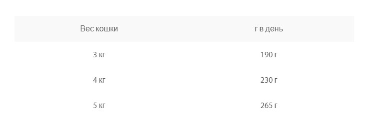 Еда для кота Animonda Vom Feinsten Senior Cat (Ягненок) 100 гр