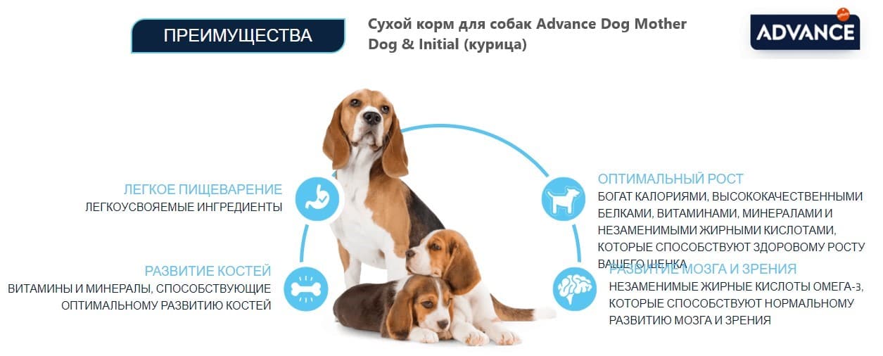 Пища для щенков с первых недель жизни Сухой корм для собак Advance Dog Mother Dog & Initial (курица)