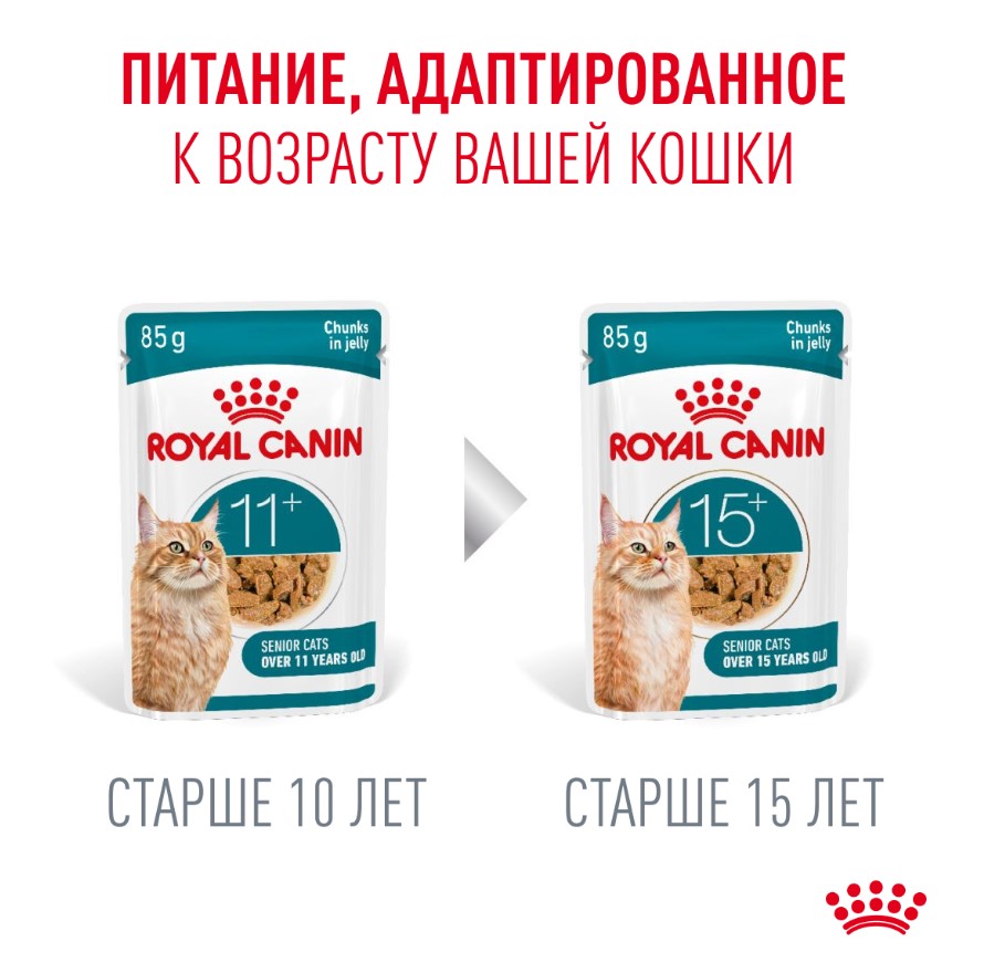 Влажный корм для пожилых кошек Royal Canin Ageing 11+ (кусочки в желе)