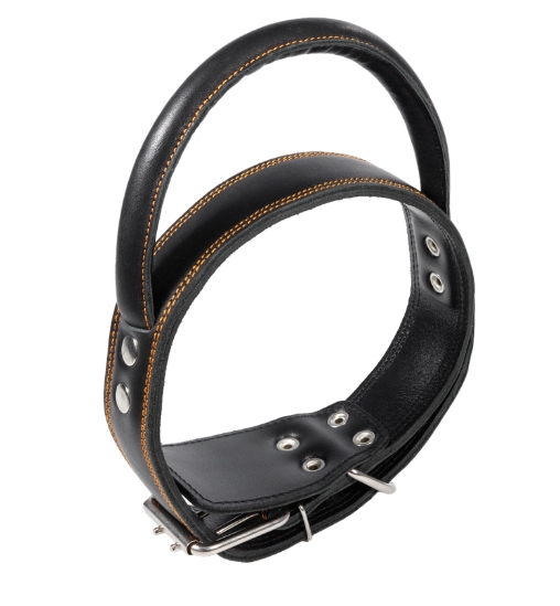 Ошейник кожаный двойной с круглой ручкой Gamma 45х760 мм