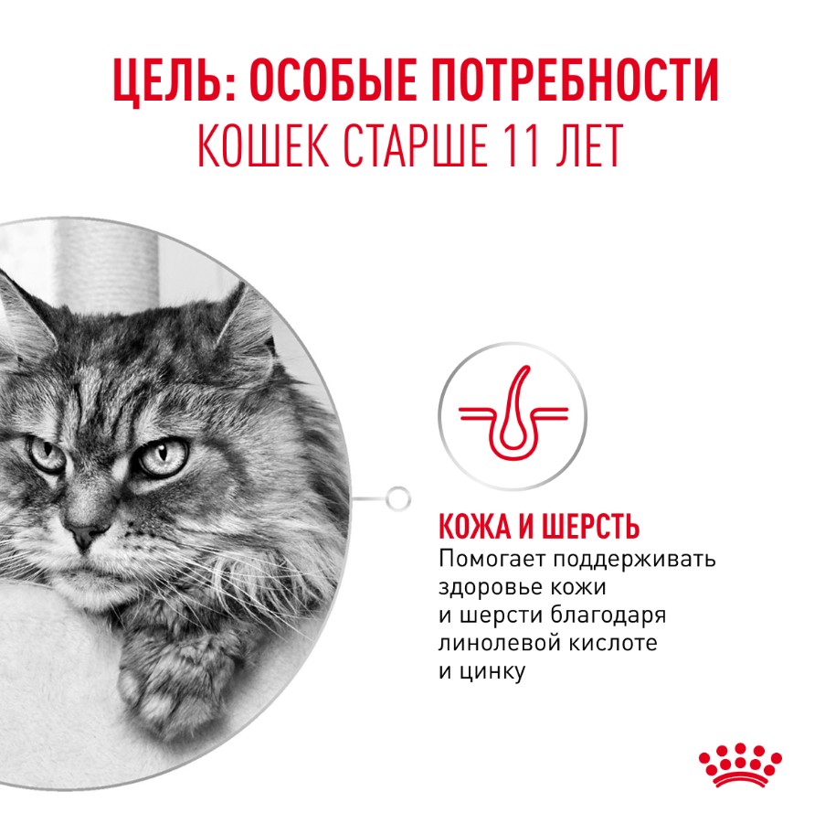 Влажный корм для пожилых кошек Royal Canin Ageing 11+ (кусочки в желе)