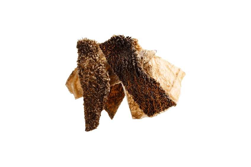 Лакомство сублимированное для собак РУБЕЦ BLITZ