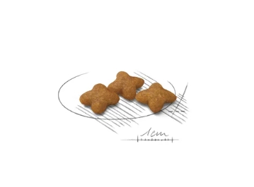 Еда для собак Сухой корм для собак Royal Canin X-Small Sterilised