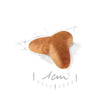 Еда для щенков Сухой корм для щенков Royal Canin Pug Puppy