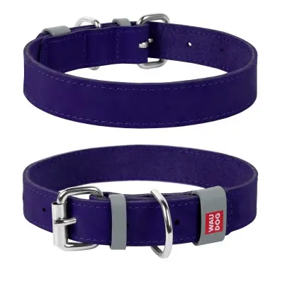 Ошейник для собак "WAUDOG" Classic