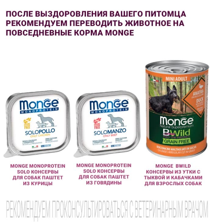 Корм для собак Monge VetSolution Gastrointestinal Adult Dog
