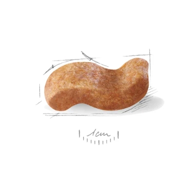 Каталог Сухой корм для собак Royal Canin Boxer Adult для собак