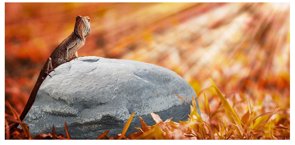 Коврик для рептилий с обогревом 8 Вт 20x20 см (PT2016)