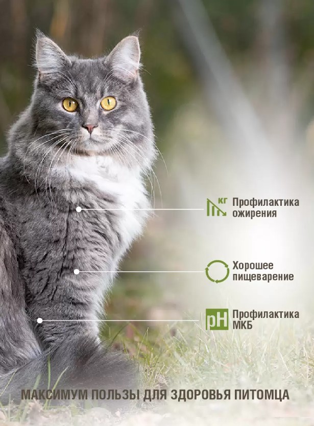 Сухой корм для кошек Darsi Sterilised (курица) сбалансированный корм для кастрированного кота 