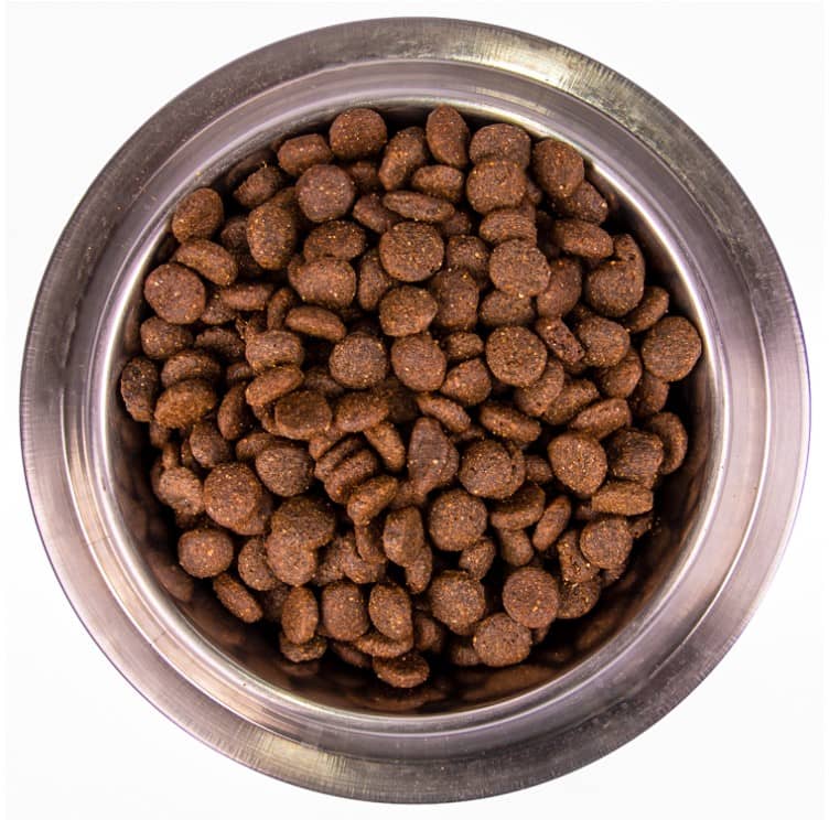 Каталог Сухой корм для собак Monge Dog Monoprotein Adult All Breeds (форель, рис) для собак