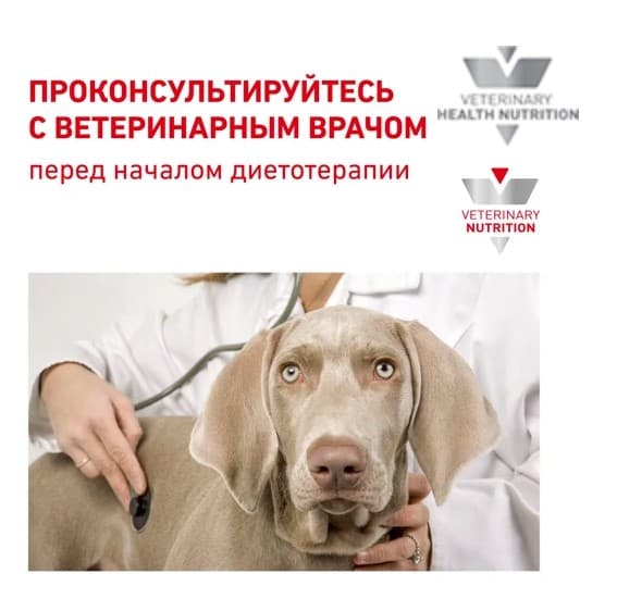 Ветеринарный корм для собак Сухой корм для собак Royal Canin Skin Support