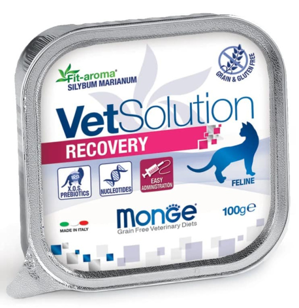 Лечебное питание для кошек Monge VetSolution Recovery Cat