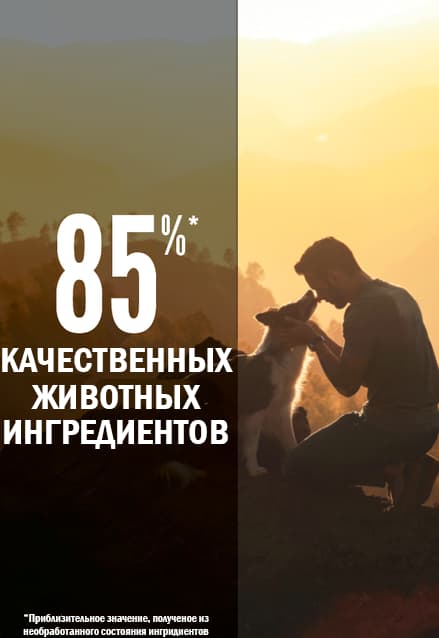 Каталог Сухой корм для собак ORIJEN TUNDRA DOG для собак