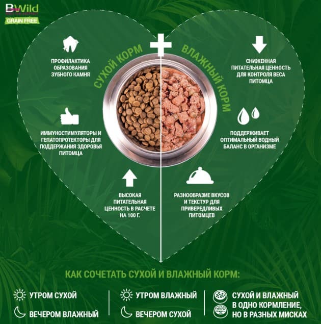 Питание для кошек Monge Cat BWild Grain Free Codfish (треска, овощи)