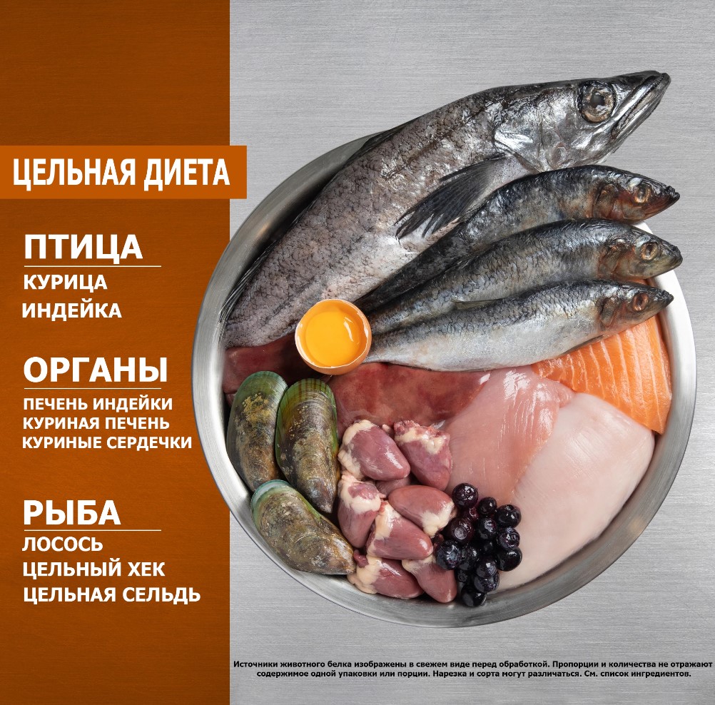 Каталог Сухой корм для щенков ORIJEN PUPPY SMALL BREED DOG для собак