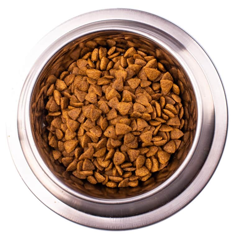 Диетическое питание для собак Monge VetSolution Renal Dog